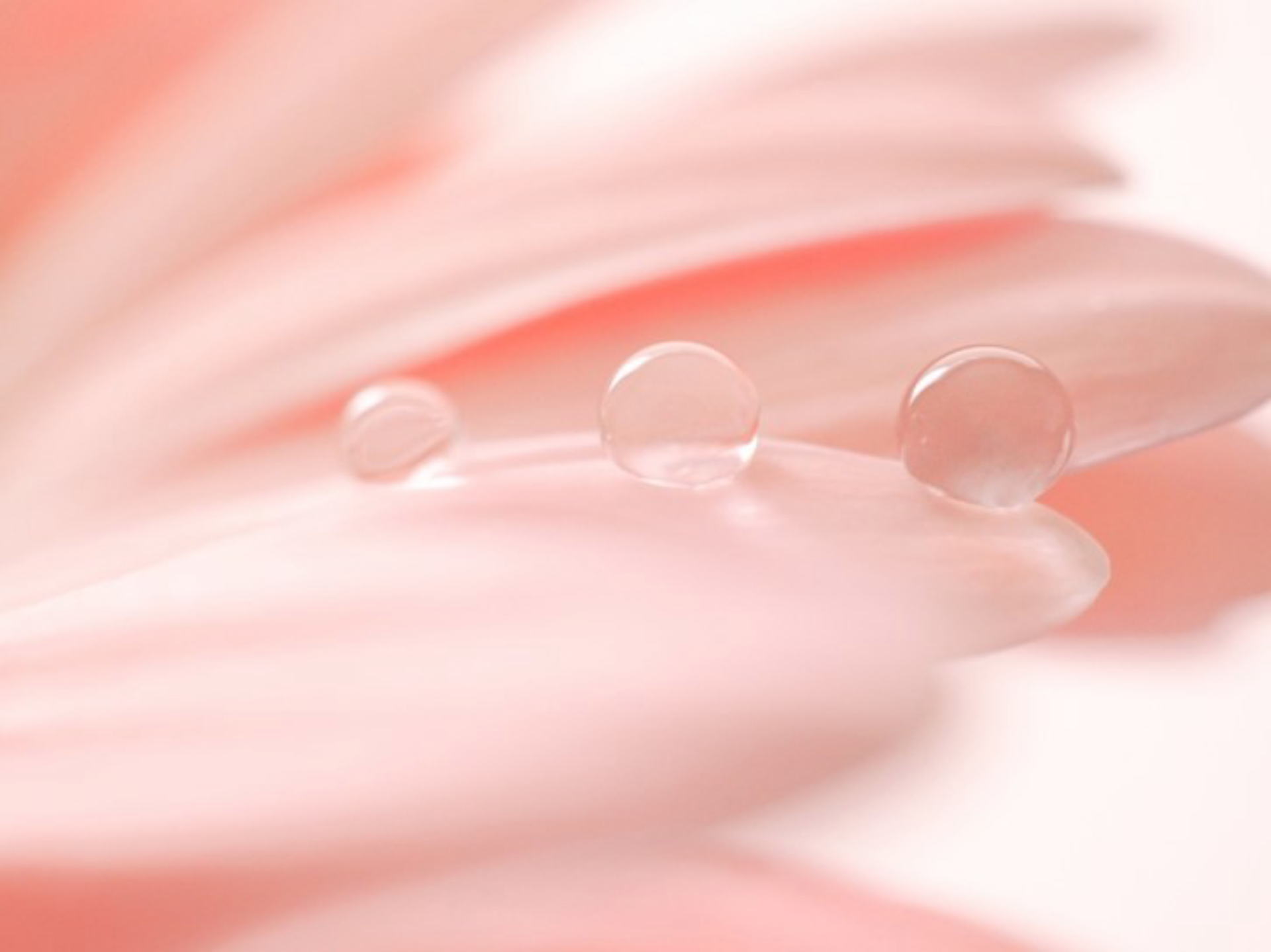 トップイメージ